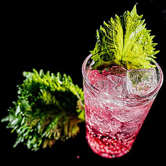 バイスチューハイ