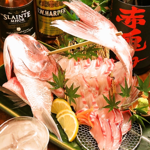 高地直送地魚姿造りをサービス！！要予約♪