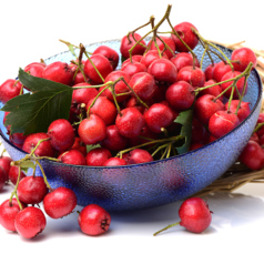 詠唱源のサンザシのお酒　山ざし酒(さんざしちゅう)