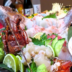 居酒屋 麦うさぎの特集写真