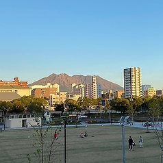 公園と桜島を望める最高の環境