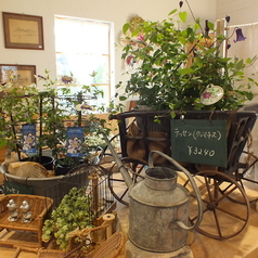 ルスティコ Rustico 浜松特集写真1