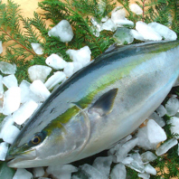 ◆◇タラをはじめ氷見から直送されるこだわりの鮮魚◆◇