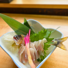 活鮎のお造り