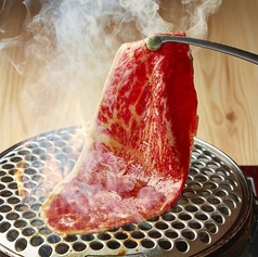 焼肉ホルモン すだく 新潟駅南店特集写真1