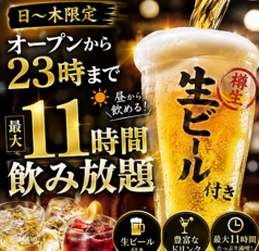 だるま商店 三宮店の特集写真