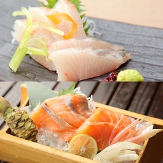 サーモン刺身 ／活〆カンパチ刺身