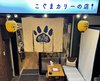 居酒屋こぐまカリーの店の写真
