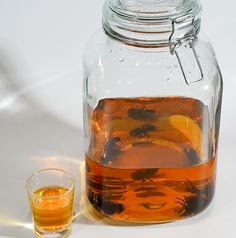 十勝もつ料理 モツ 帯広駅前店特集写真1