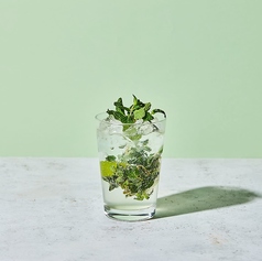 ヴァージンモヒート