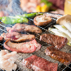 大衆焼肉ホルモン酒場 とりとん 今池店の特集写真