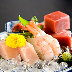 まぐろ料理 しびの特集写真