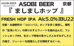 ■『とれたて Green Tea Ale』反射炉ビヤ 静岡(Japanese Tea Ale)5.0%
