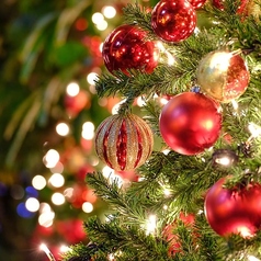 伊太利食堂 ヨシザキ 長野駅前のコース写真