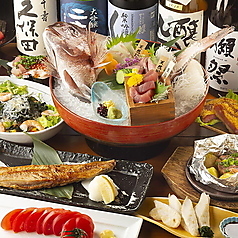 鮮魚と日本酒 魚ぽん大蔵 池袋本店特集写真1