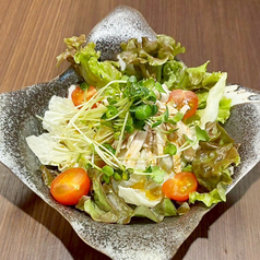 シャキシャキチキンサラダ/シーザーサラダ