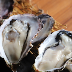 籠家 すすきの 南三条店のコース写真