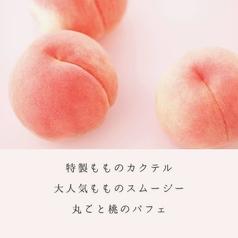 ビストロ サリチェ 福井順化のおすすめ料理1