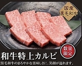 焼肉 冷麺ヤマト 北上店のおすすめ料理2