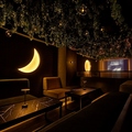 ALBERO アルベロ 渋谷店の雰囲気1