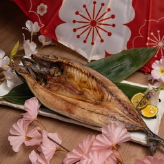 金華さばの一夜干し（一枚）