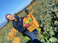 厳選された新鮮なお肉と野菜とお米