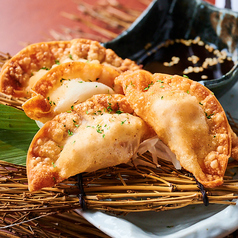 手包み馬肉の揚げ餃子