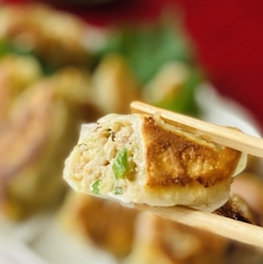 中華居酒屋 餃子の尚軒 なおけん 小松特集写真1