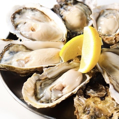 大衆サカバ 牡蠣るのコース写真