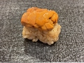 料理メニュー写真&nbsp;無添加雲丹