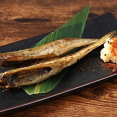 氷下魚