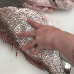 居酒屋　瀧さわ家　多賀城店の写真2