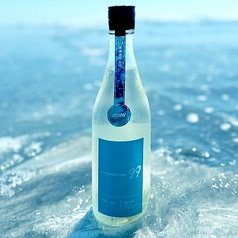 寒菊 OCEAN99 青海