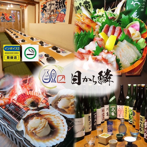 鯛めしや海鮮&魚を個室で楽しめ宴会にお得な飲み放題がある松山市大街道の海鮮居酒屋