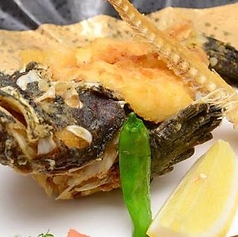 虎魚(おこぜ)唐揚げ