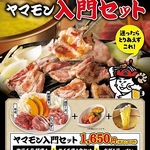 ヤマダモンゴル 千葉津田沼店