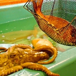 店内には大きないけすがあり、その日仕入れた新鮮な旬の鮮魚をお愉しみいただけます！