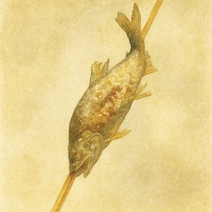 鮎塩焼き