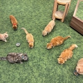 料理メニュー写真&nbsp;～土日祝～ 基本料金 30分