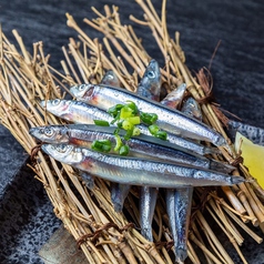 こだわりの海鮮を贅沢に『浜焼き』でいただく！