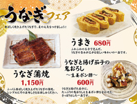 夏限定うなぎフェアー開催中!