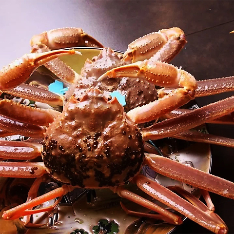 柏で味わう本物の蟹や天婦羅。旬の厳選食材でもてなす会席コースをご提供しております