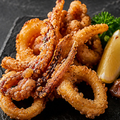 【飲み放題〇】炭火タンドール　エスニックダイニング　居酒屋　ビニタ　麹町店のおすすめ料理3