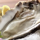Grill&Oyster Rico リコ 牡蠣と魚の詳細