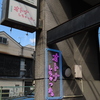 大衆酒場オトナしちゃった