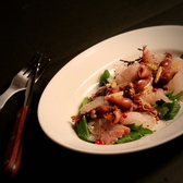 日本茶×干物 茶酒屋 Nendo すすきののおすすめ料理2