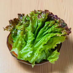 チシャ