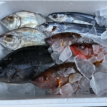 みなとやのおすすめ料理1