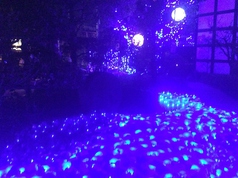 リストランテ 谷澤のコース写真