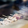 当店人気の、備長炭で焼く大ぶり焼鳥をぜひお楽しみください！「自家製つくね」をはじめとする自慢の串を含め、多彩なメニューを提供しております。
